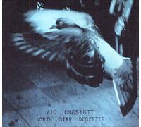 North star deserter Vinyle
