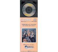 NORTHEAST WINDS - The Irish Minstrels - CD Single