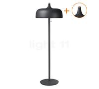 Northern Acorn Lampadaire