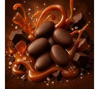 Northern Chill Chocolate Salted Caramel arôme concentré - Vegan - Sasami - 10 ml