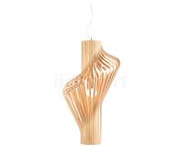 Northern Diva Suspension