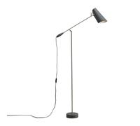 Northern Lampadaire Birdy gris