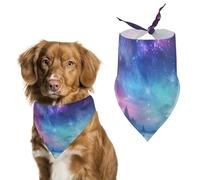 Northern Lights Bandana triangulaire pour chien en polyester lavable pour chiens et chats de taille moyenne et grande