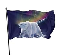 Northern Lights Drapeau ours polaire 9,1 x 1,5 m, couleurs vives, résistant à la décoloration, bannière de sports de plein air avec 2 œillets en laiton
