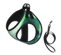 Northern Lights Ensemble harnais et laisse pour chien Imprimé ours polaire Gilet réfléchissant réglable pour chiens de petite, moyenne et grande taille