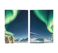 Northern Lights Étui de passeport de voyage avec emplacements pour cartes de crédit et fente d'embarquement pour voyage, carte d'identité familiale (20,3 x 13,7 cm)