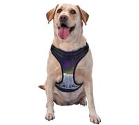 Northern Lights Gilet de traction pour animal de compagnie Motif ours polaire