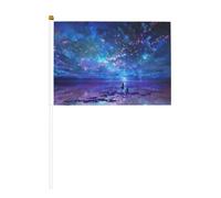 Northern Lights Lot de 6 et 10 drapeaux à agiter à la main, drapeaux à main sur bâton, pour défilés, fêtes, bars, anniversaires