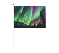 Northern Lights Lot de 6 et 10 drapeaux portatifs sur bâton pour défilés, fêtes, bars, anniversaires