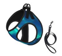 Northern Lights1 Ensemble harnais et laisse pour chien, gilet réfléchissant et réglable pour chiens de petite, moyenne et grande taille