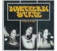 Northern State - Dying In Stereo