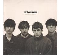 NORTHERN UPROAR - Rollercoaster / Rough Boy