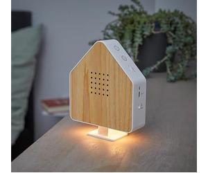 Northpoint Boîte à Bruit Naturel pour Oiseaux - en Bois véritable Invisible - Détecteur de Mouvement HF - Lumière Rechargeable avec Support Mural - Bois de frêne Blanc