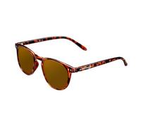 Northweek Wall Tortoise Polarized 1ud