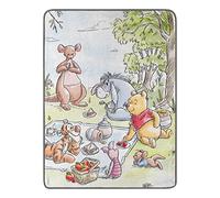Northwest Disney Winnie l'ourson Couverture Micro Raschel 116,8 x 152,4 cm
