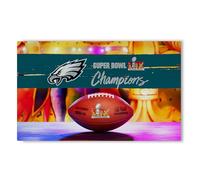 Northwest NFL Philadelphia Eagles 2025 Super Bowl LIX Parade Tapis lavable 91,4 x 157,5 cm