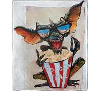Northwest Warner Bros 100th Celebration Silk Touch Couverture 127 x 152,4 cm, Gremlin Peint