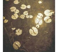 Northwoods Improvisers - Fanfares [Compact Discs]