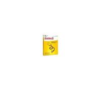Norton Antivirus 2005 - Version Boîte - 1 Utilisateur - Cd - Win - Français)