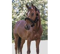 Norton Licol Full Mouton synthétique - Couleurs - Noir/Noir, Taille Equipement Cheval - Cheval