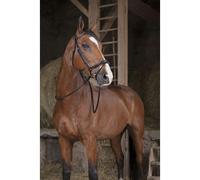 NORTON PRO Hunter Rênes 16mm noir Warmblood