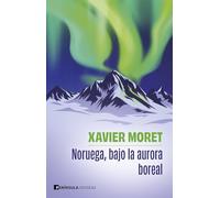 Noruega, bajo la aurora boreal