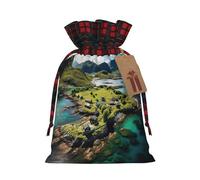 Norway Islands Sac fourre-tout de Noël avec cordon de serrage 11,9 x 17,5 cm Sac robuste pour cadeaux et essentiels quotidiens