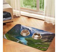Norwegian Fjords Tapis d'alimentation pour animal domestique 40 x 60 cm, tapis absorbant pour gamelle de nourriture et d'eau, tapis de nourriture pour chat en cuir synthétique, tapis imperméable à