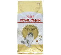 NORWEGIAN FOREST CAT ADULT ROYAL CANIN Sac de 2 kg/Croquettes premium pour chat Norvégien adult