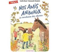 Nos amis animaux Camille Brunel (Auteur), Emmanuelle Tchoukriel (Illustration)