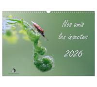 Nos amis les insectes (Calendrier mural 2027 DIN A3 vertical), CALVENDO calendrier mensuel: Un regard fascinant sur le monde miniature des insectes.