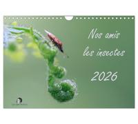 Nos amis les insectes (Calendrier mural 2027 DIN A4 vertical), CALVENDO calendrier mensuel: Un regard fascinant sur le monde miniature des insectes.