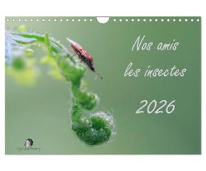 Nos amis les insectes (Calendrier mural 2027 DIN A4 vertical), CALVENDO calendrier mensuel: Un regard fascinant sur le monde miniature des insectes.