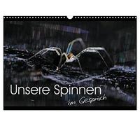 Nos araignées - en conversation, Version française (Calendrier mural 2026 DIN A3 portrait), Calendrier CALVENDO mensuel