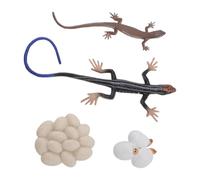 Nosqew Figurines de Jouets de Cycle de Vie Skink, Haute Simulation, Modèle Animal en PVC, Ensemble de Jeu éducatif pour Enfants, Bac à Sable, Apprentissage