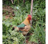 Nosqew Tablier de Poulet, Gilet de Selle de Poule, Vestes de Protection d'ailes de Canard, Accessoires de Soins de Volaille Réversibles pour Poules Pendant la Saison des Amours, Toile de (Vert