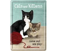 Nostalgic-Art Plaque en Metal 10 x 14 cm - Cats and Kittens