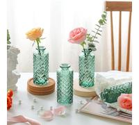 Nostrae by Ekhasa Lot de 3 vases à bourgeons en verre 100 % transparent pour décoration d'intérieur | Mini articles de décoration de table centrale | Vase transparent pour plantes | Pots de fleurs en