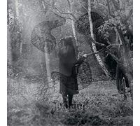 Not Ever-Download