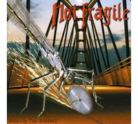 Not Fragile - Scratch The Surface [Import]