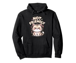 Not Friendly Introverti Asocial Solitaire Grincheux Ours Sweat à Capuche