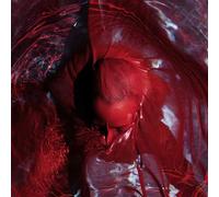 Not Here Not Gone Vinyle Rouge Transparent Vinyle