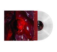 Not Here Not Gone Vinyle Transparent Vinyle