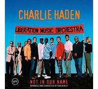 Not in Our Name [Import]