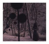 Not In Rivers, But In Drops – Sony Music