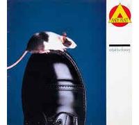 Not Just for Dancing [Import]