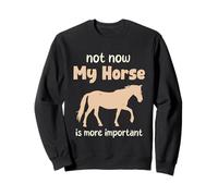 Not Now My Horse Is More Important Amoureux des chevaux Sweatshirt