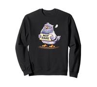 Not Rare Pigeon Funny Birder Humour Urban Bird Joke Sweatshirt