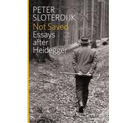 Not Saved: Essays After Heidegger