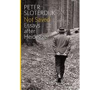Not Saved: Essays After Heidegger